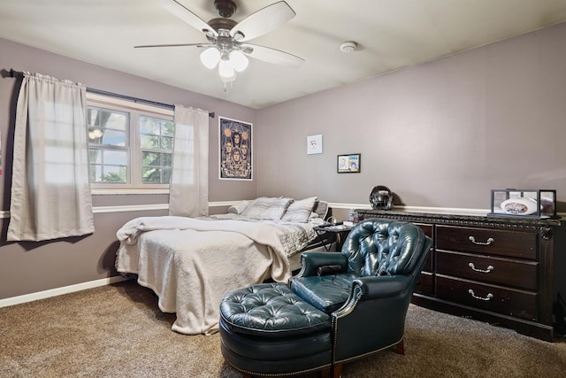 13420 Florence Rd, Mokena, IL 60448 - bedroom featuring carpet and a ceiling fan