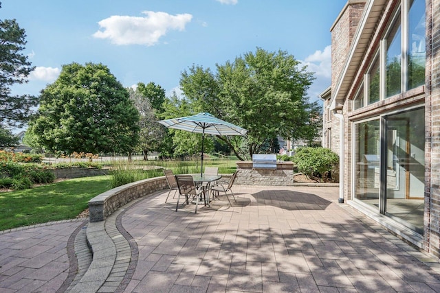 641 Mason Ln, Lake In The Hills, IL 60156 - view of patio with area for grilling and outdoor dining space