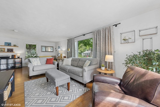 861 Hill Ave, Glen Ellyn, IL 60137 - living room with wood finished floors and plenty of natural light