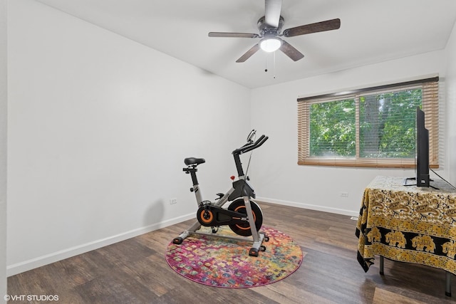 20 Brook Ln, Palos Park, IL 60464 - exercise room featuring wood finished floors and ceiling fan