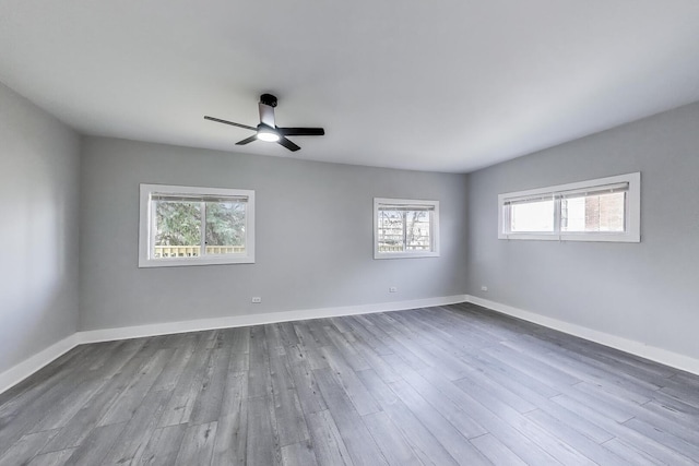 7026 S Vernon Ave, Chicago, IL 60637 - photo 24