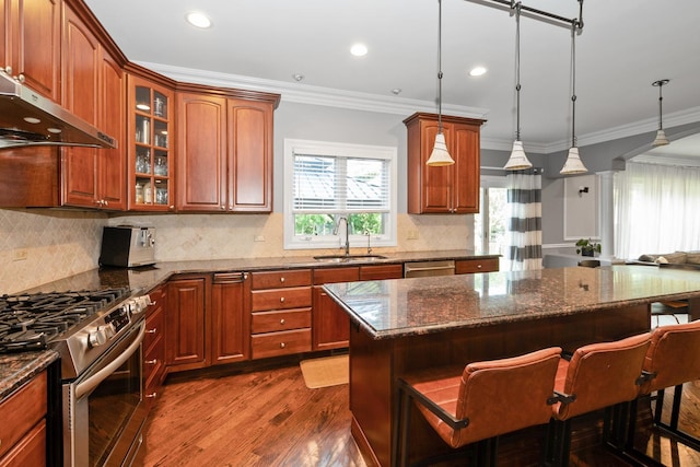 7715 Virginia Ct, Willowbrook, IL 60527 - kitchen featuring stainless steel appliances, under cabinet range hood, dark wood finished floors, a kitchen island, and a breakfast bar area