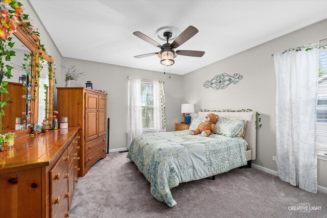 317 Greenwood Pl, Oswego, IL 60543 - photo 22