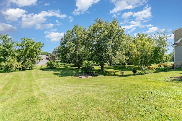 141 E Lincoln St, Seneca, IL 61360 - view of green lawn