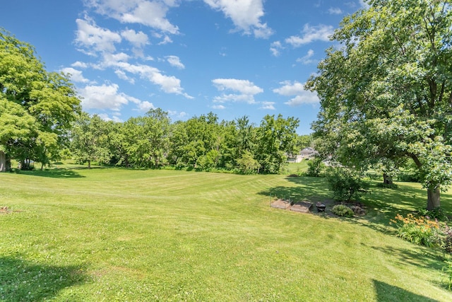 141 E Lincoln St, Seneca, IL 61360 - view of green lawn with view of wooded area