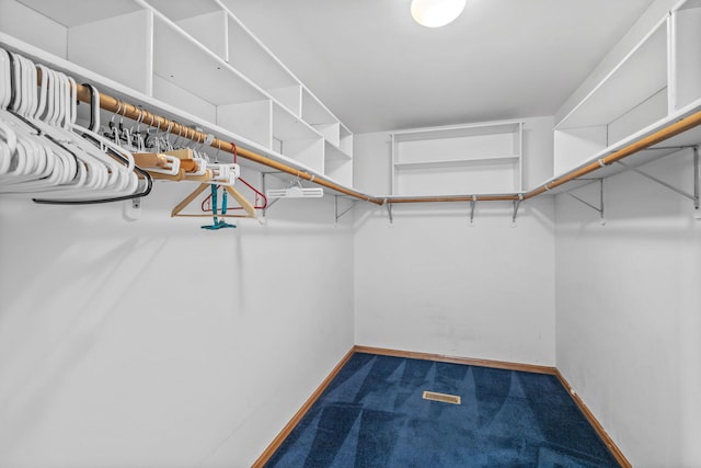 8425 Brookside Glen Dr, Tinley Park, IL 60487 - walk in closet with carpet flooring