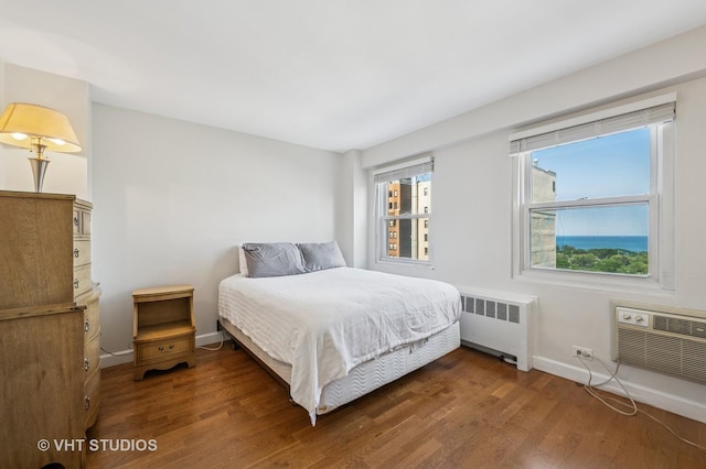 2909 N Sheridan Rd Unit 1309, Chicago, IL 60657 - bedroom featuring radiator heating unit, wood finished floors, and a wall mounted AC