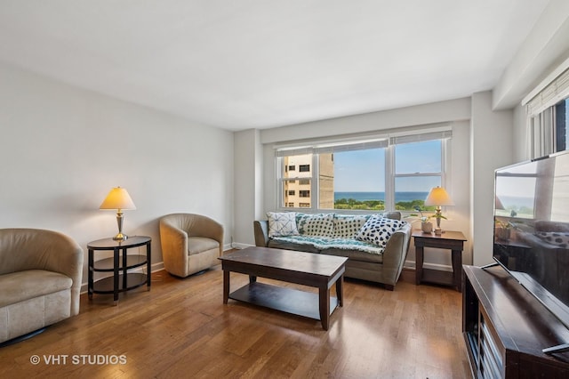 2909 N Sheridan Rd Unit 1309, Chicago, IL 60657 - living area with wood finished floors