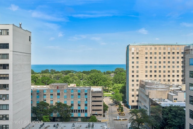 2909 N Sheridan Rd Unit 1309, Chicago, IL 60657 - water view