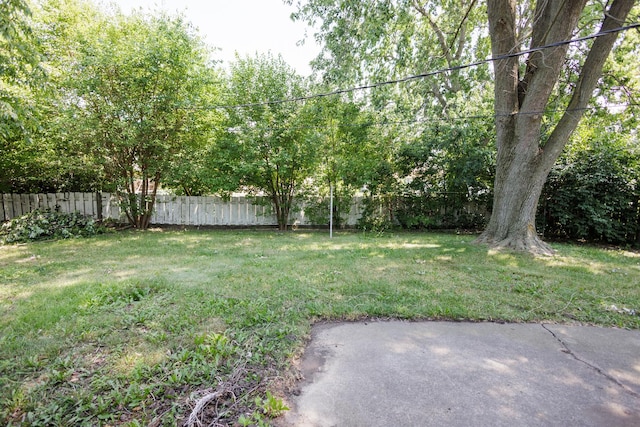 680 S Center Ave, Bradley, IL 60915 - fenced backyard featuring a patio