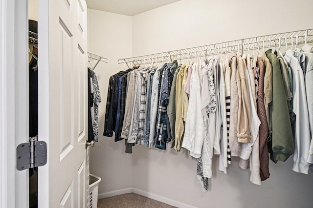 2903 Henley Ln, Naperville, IL 60540 - walk in closet featuring carpet flooring