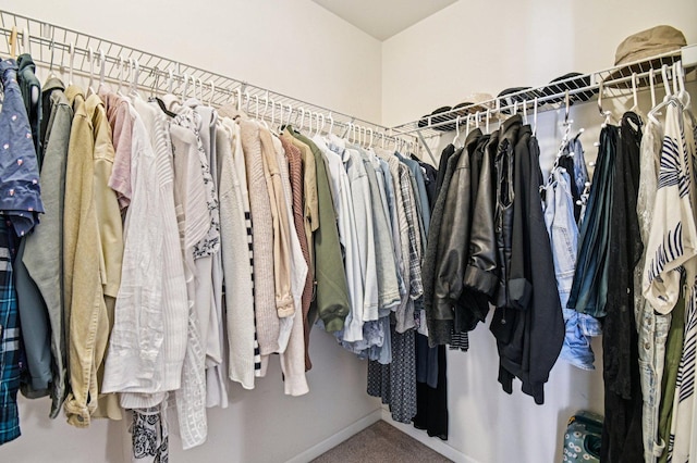 2903 Henley Ln, Naperville, IL 60540 - spacious closet with carpet floors