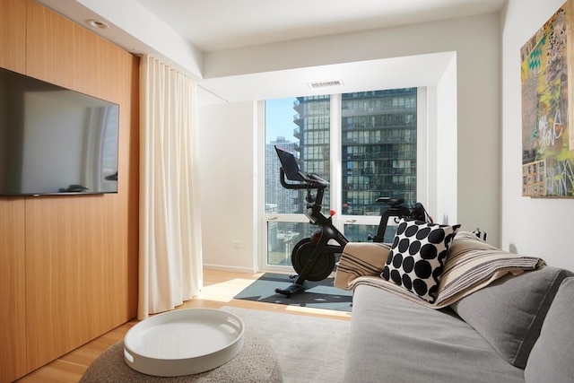 2 E Erie St Unit 2702, Chicago, IL 60611 - exercise area featuring light wood-style flooring