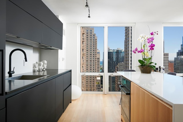 2 E Erie St Unit 2702, Chicago, IL 60611 - kitchen with dark cabinetry, a skyline view, light wood-type flooring, modern cabinets, and expansive windows