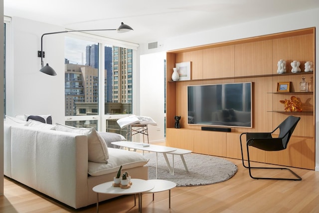 2 E Erie St Unit 2702, Chicago, IL 60611 - living room featuring light wood-style flooring and expansive windows