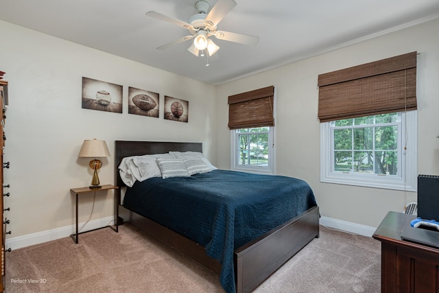 985 W Bauer Rd, Naperville, IL 60563 - bedroom with light colored carpet and ceiling fan