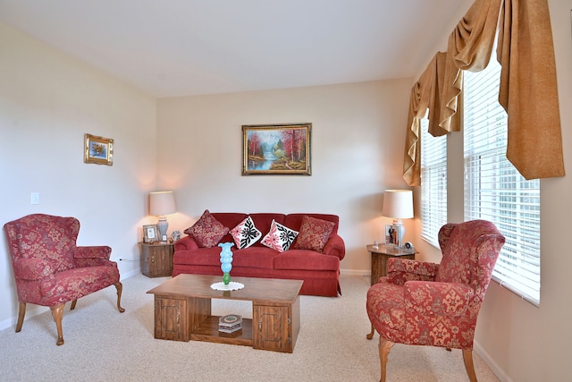 12910 Bradford Ln, Plainfield, IL 60585 - photo 23