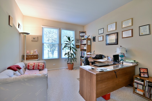 12910 Bradford Ln, Plainfield, IL 60585 - photo 28
