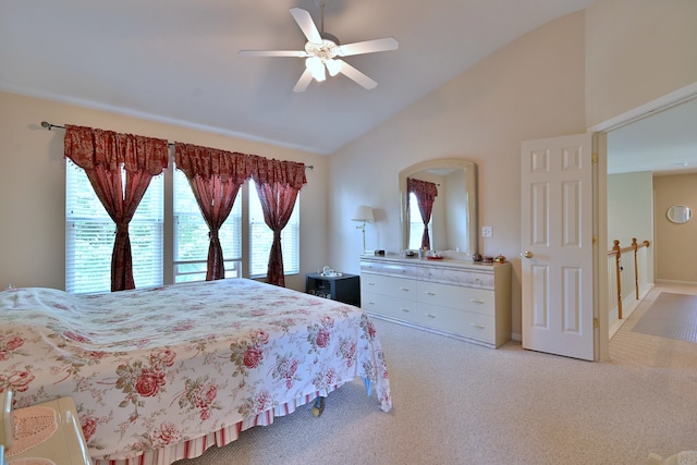 12910 Bradford Ln, Plainfield, IL 60585 - photo 31
