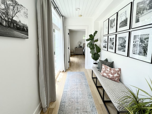 204 Country Commons Rd, Trout Valley, IL 60013 - corridor featuring light wood-type flooring and baseboards