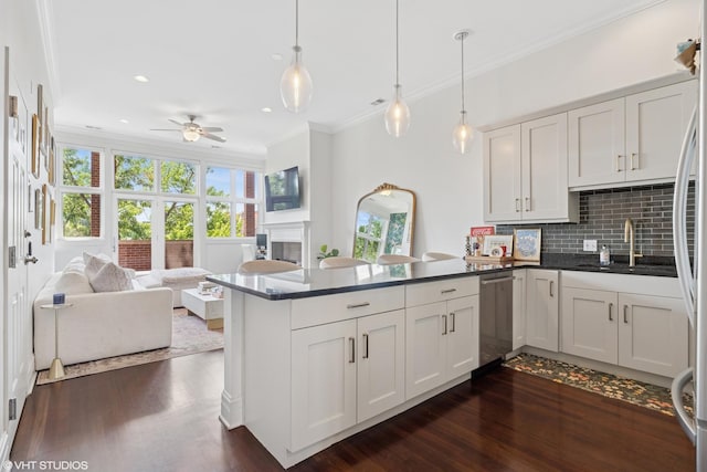 2549 N Southport Ave Unit 3, Chicago, IL 60614 - kitchen featuring dishwasher, a peninsula, dark wood-style flooring, open floor plan, and ceiling fan