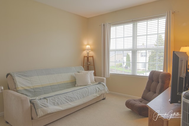 4004 Shoeger Ct, Yorkville, IL 60560 - photo 17