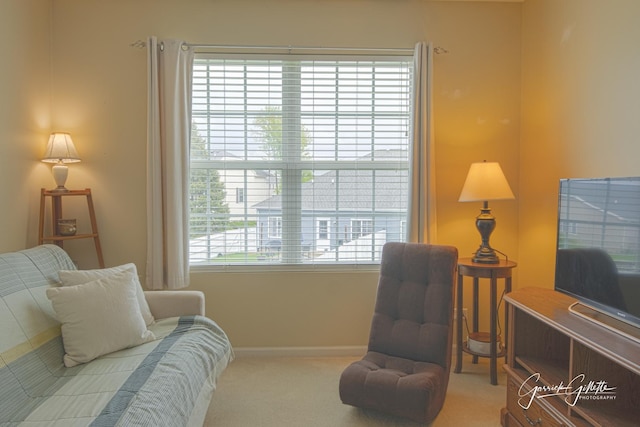 4004 Shoeger Ct, Yorkville, IL 60560 - photo 18