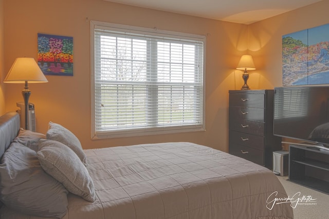 4004 Shoeger Ct, Yorkville, IL 60560 - photo 20