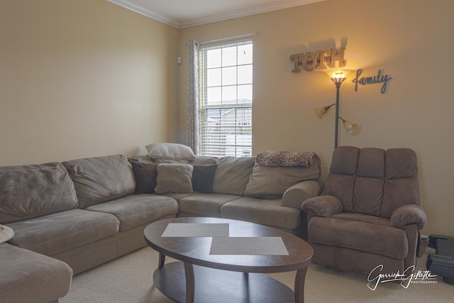 4004 Shoeger Ct, Yorkville, IL 60560 - photo 5