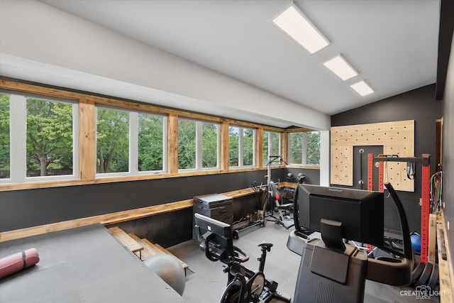 51 Chippewa Dr, Oswego, IL 60543 - exercise area with vaulted ceiling