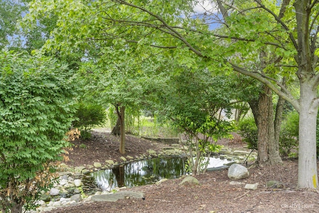 51 Chippewa Dr, Oswego, IL 60543 - water view