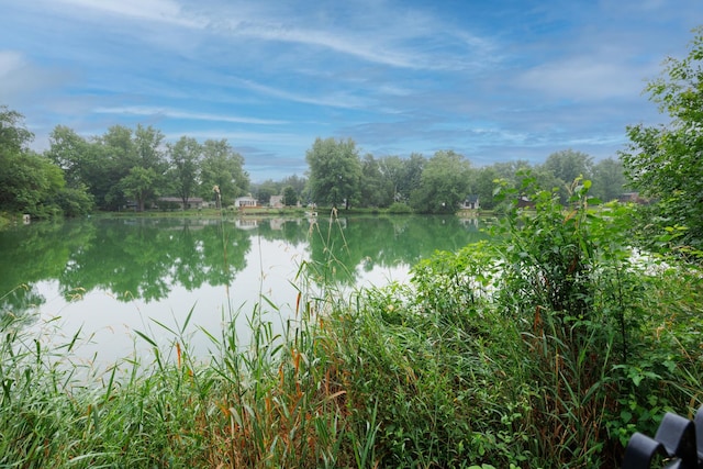 17366 Walden Rd, Hudson, IL 61748 - water view