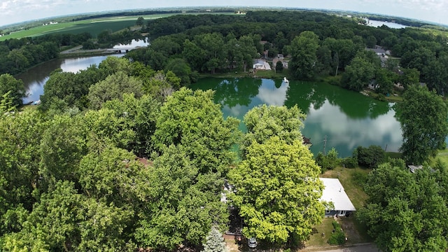 17366 Walden Rd, Hudson, IL 61748 - view of property location featuring a nearby body of water