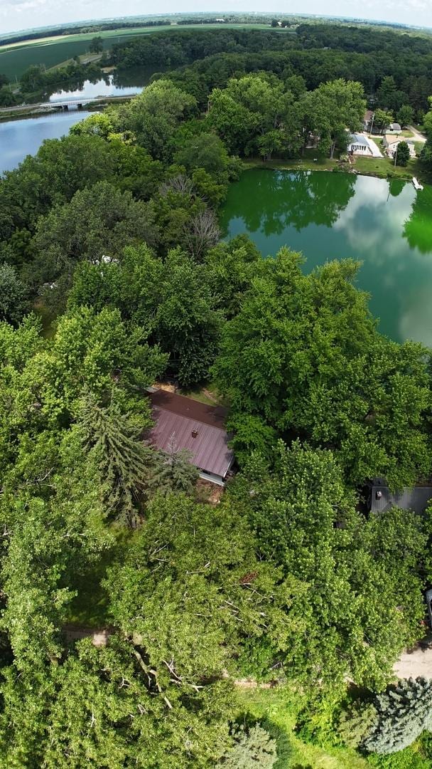 17366 Walden Rd, Hudson, IL 61748 - aerial view of property and surrounding area with a large body of water and a heavily wooded area
