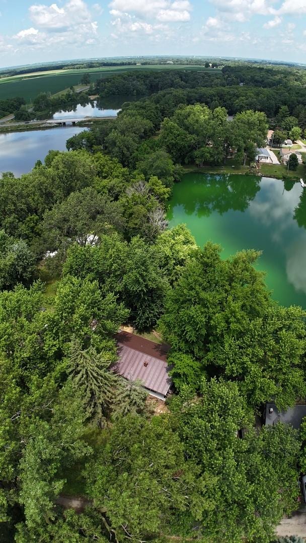 17366 Walden Rd, Hudson, IL 61748 - bird's eye view of a nearby body of water and a heavily wooded area