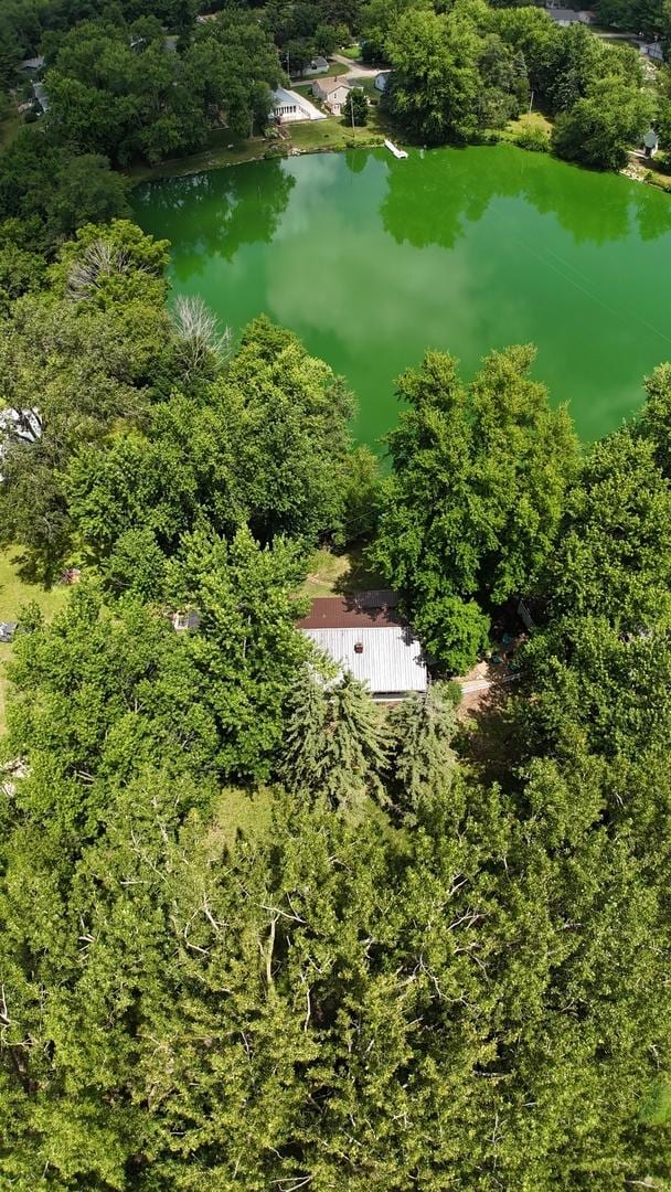 17366 Walden Rd, Hudson, IL 61748 - aerial overview of property's location featuring a nearby body of water and a forest