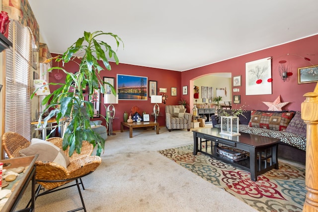 255 Ironbark Ct, Bolingbrook, IL 60440 - carpeted living area featuring arched walkways