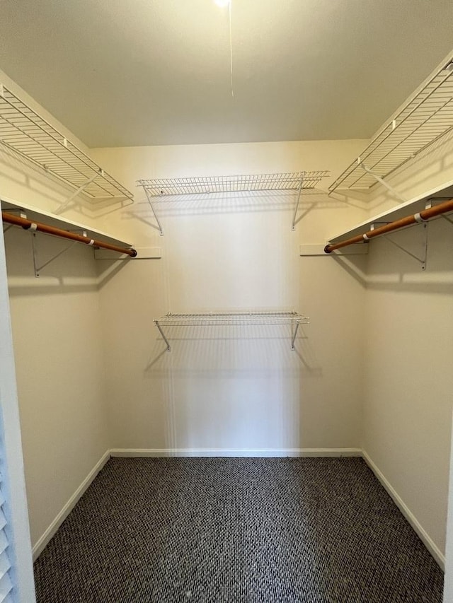 6156 Knoll Way Dr Unit 101, Willowbrook, IL 60527 - spacious closet featuring carpet floors