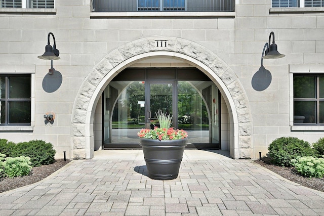 111 N Larch Ave Unit 206, Elmhurst, IL 60126 - entrance to property featuring stone siding
