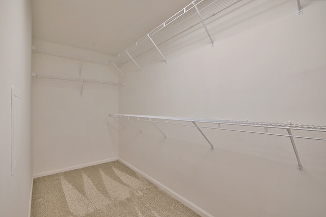 111 N Larch Ave Unit 206, Elmhurst, IL 60126 - walk in closet with light carpet
