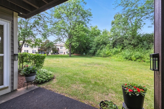 1108 Stratford Ct Unit A, Elgin, IL 60120 - photo 17