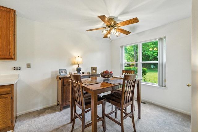 1108 Stratford Ct Unit A, Elgin, IL 60120 - photo 9