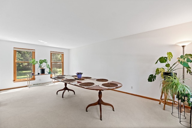 674 Carriage Dr, Batavia, IL 60510 - dining room featuring carpet floors and baseboards