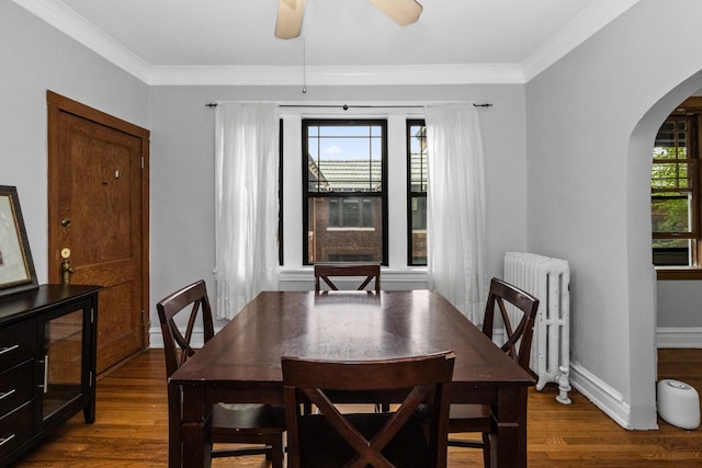 510 Madison St Unit 3S, Oak Park, IL 60302 - dining room with radiator heating unit, arched walkways, dark wood-type flooring, a ceiling fan, and crown molding