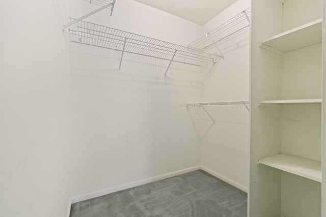 1150 E Jackson St Unit 1A, Lombard, IL 60148 - spacious closet featuring carpet