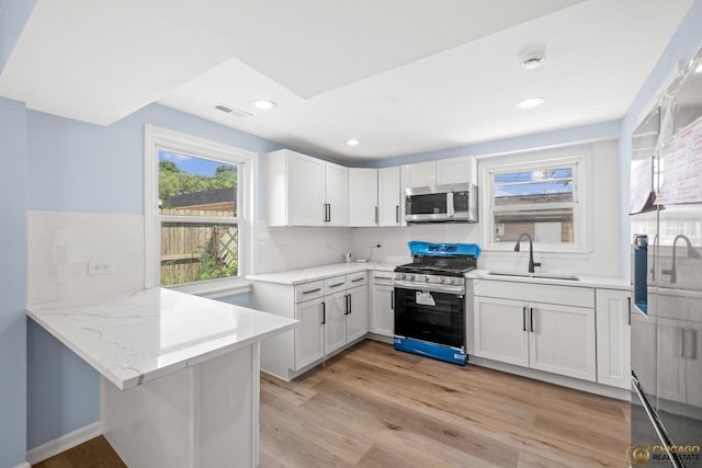 9509 S Merrion Ave, Chicago, IL 60617 - kitchen featuring stainless steel appliances, white cabinetry, light wood-style flooring, light stone counters, and tasteful backsplash