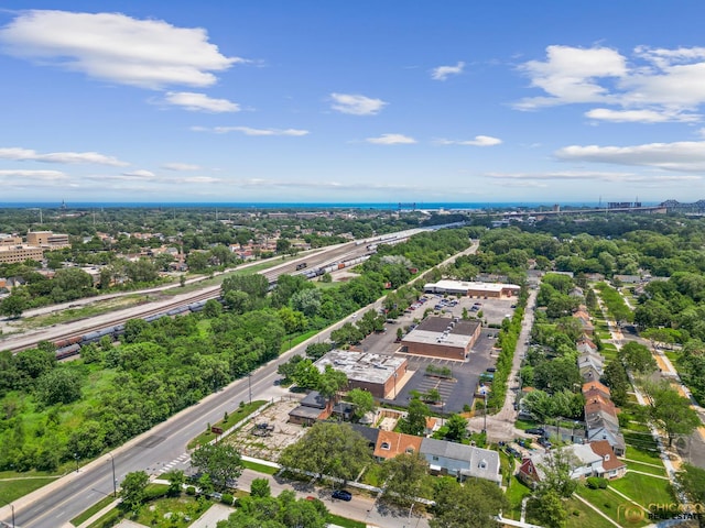 9509 S Merrion Ave, Chicago, IL 60617 - bird's eye view of a tree filled landscape