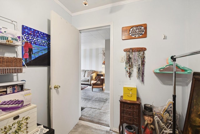 4842 S Wallace St, Chicago, IL 60609 - corridor with carpet floors and ornamental molding