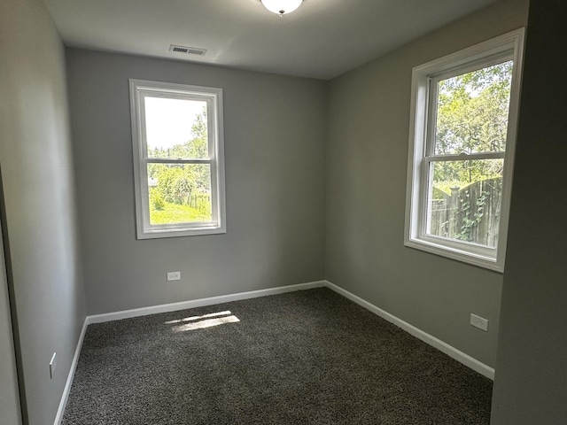 207 W 2nd St, Streator, IL 61364 - unfurnished room featuring plenty of natural light and carpet flooring