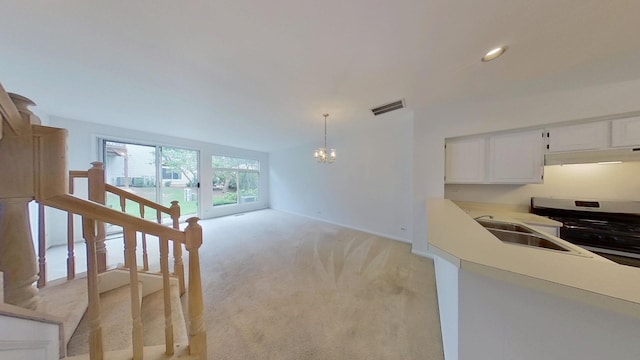 1068 Ripple Ridge Dr Unit 0, Darien, IL 60561 - photo 11